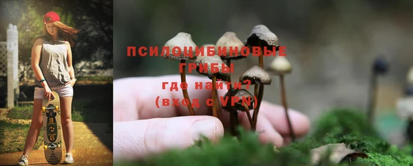 марки nbome Белокуриха
