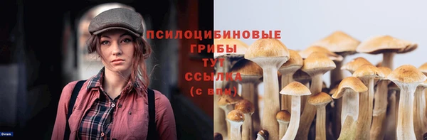 марки nbome Белокуриха