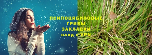 марки nbome Белокуриха