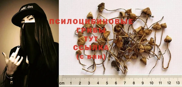 герыч Белоозёрский