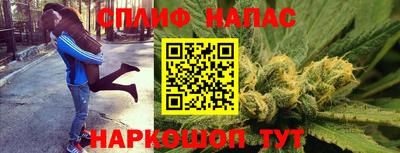 стаф Балаково