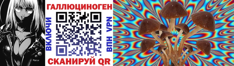 купить закладку  Бугульма  Галлюциногенные грибы Magic Shrooms 