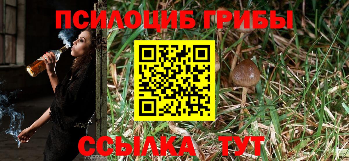 Псилоцибиновые грибы Psilocybine cubensis  Псилоцибиновые грибы Psilocybe  Вход с VPN  Бугульма 