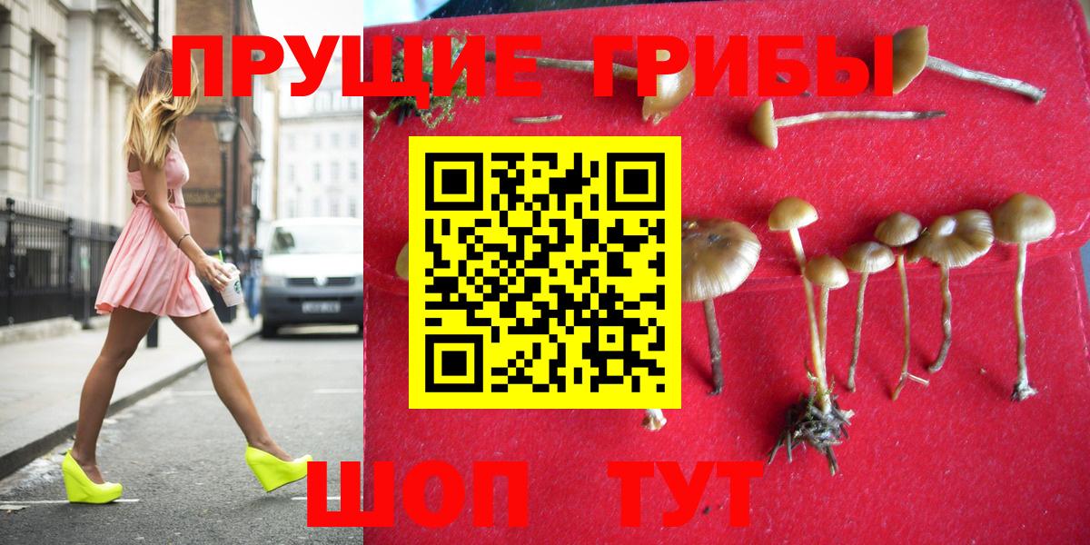 Псилоцибиновые грибы ЛСД Бугульма