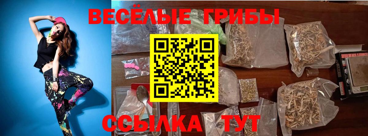 Галлюциногенные грибы Psilocybine cubensis Бугульма